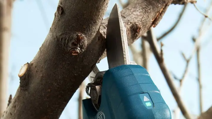 Pro Pruner (сет 2 акк.) — Photo 1