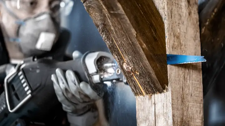 Пиляльне полотно S1267XHM Tough Metal Embedded Wood — Photo 2