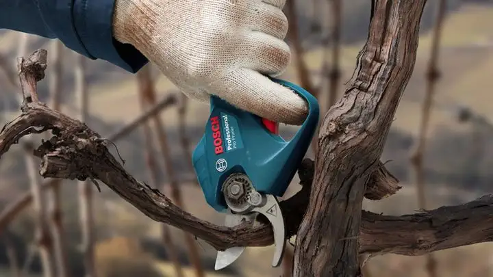 Pro Pruner (сет 2 акк.) — Photo 2