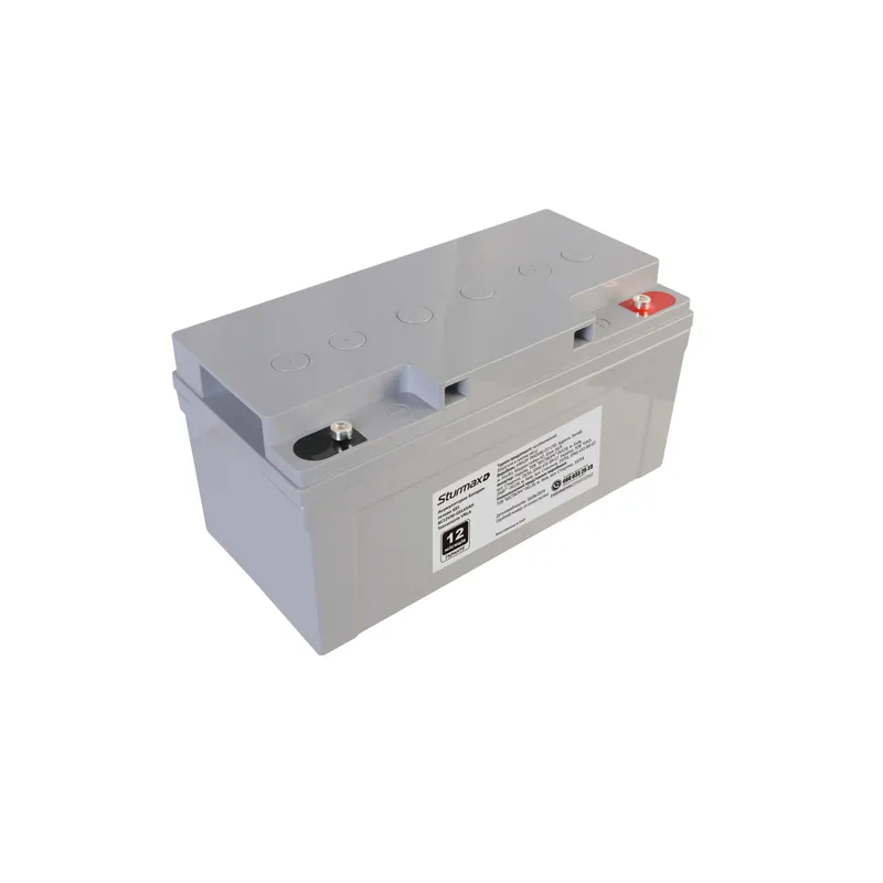 Акумуляторна гелева батарея GEL 12B 65 Аг Sturmax BC12VM-GEL65AH