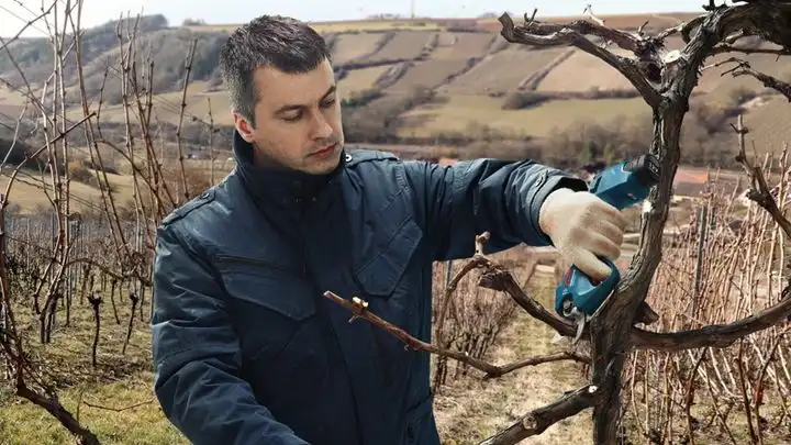 Pro Pruner (сет 2 акк.) — Photo 3