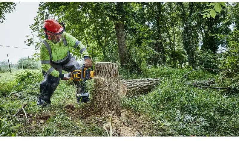 Пила ланцюгова акумуляторна безщіткова DeWALT DCMCS574X1 — Photo 5