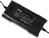 Зарядний пристрій HY 810 Hyundai — Photo 5