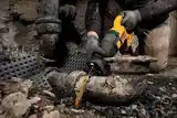 Пила шабельна акумуляторна DeWALT DCS389NT — Photo 23