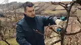 Pro Pruner (сет 2 акк.) — Photo 7