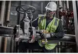 Гайкокрут ударний акумуляторний безщітковий DeWALT DCF891N — Photo 21