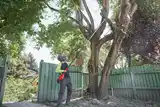 Висоторіз телескопічний акумуляторний MILWAUKEE M18 FTPS30-121, 300мм (ЗП+1ак.Х12Аг) FORGE™ — Photo 6
